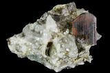 Brookite and Quartz Crystal Association- Pakistan #111328-1